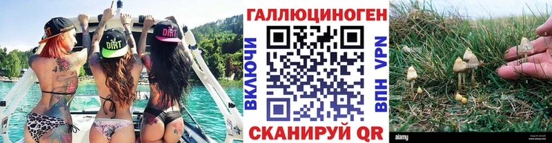 Галлюциногенные грибы Cubensis  Купить  Ликино-Дулёво 